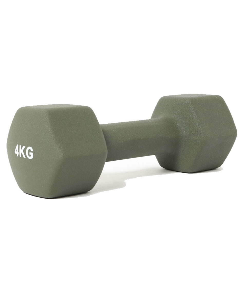 ダンベル 楽天市場】【業務用】ダンベル DUMBBELL 10個 5ペアセット 42kg