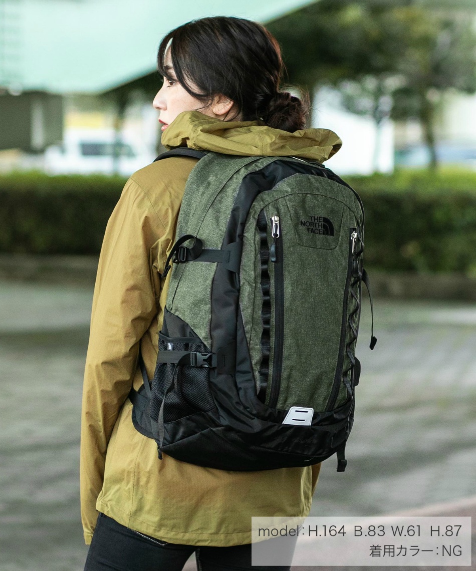 the north face