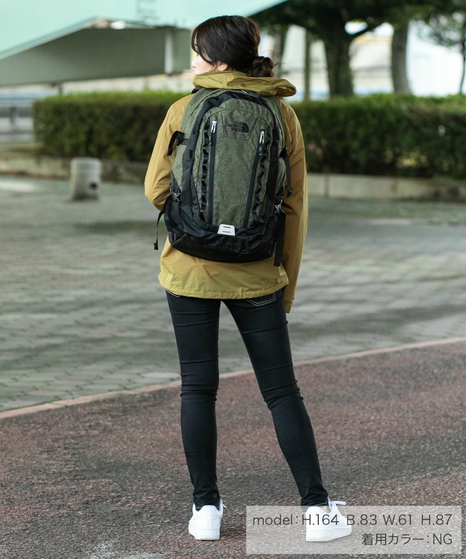 the north face