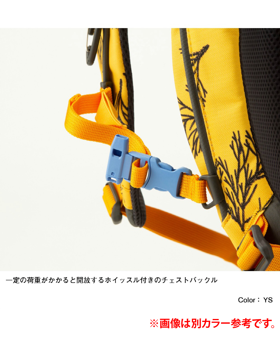 ザ・ノース・フェイス(THE NORTH FACE) リュックサック 22L