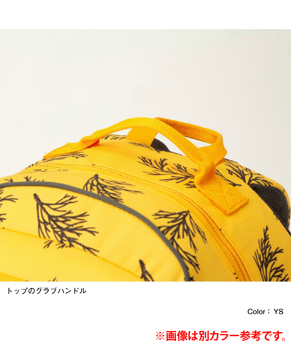 ザ・ノース・フェイス(THE NORTH FACE) リュックサック 22L
