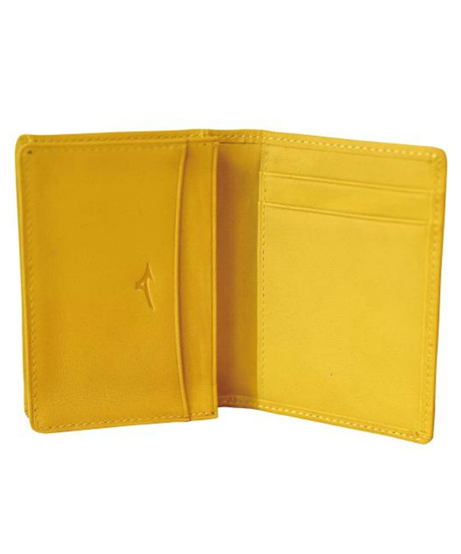 ミズノ(MIZUNO) 名刺入れ グラブ革名刺入れ 1GJYG00700 | スポーツ用品