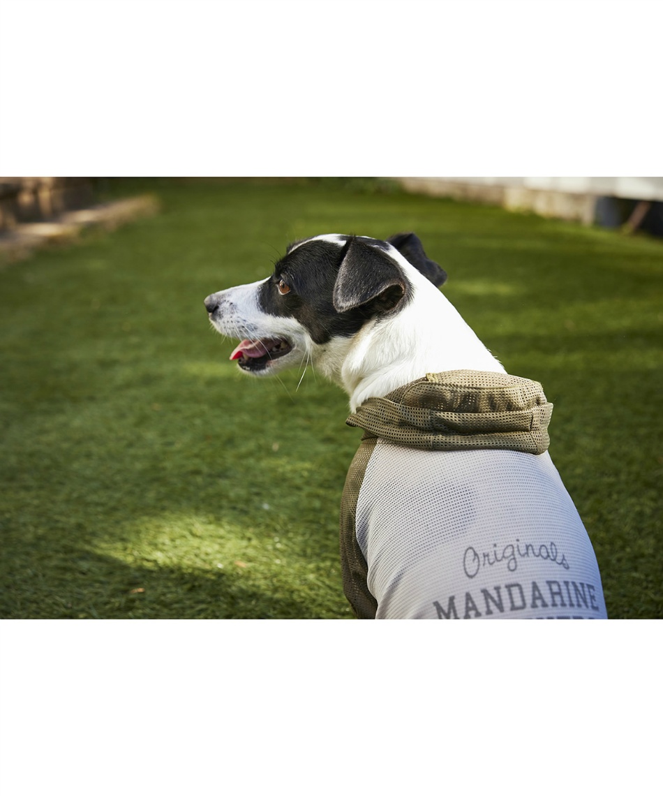 売り尽くし】マンダリンブラザーズ 接触冷間 虫よけ インセクト