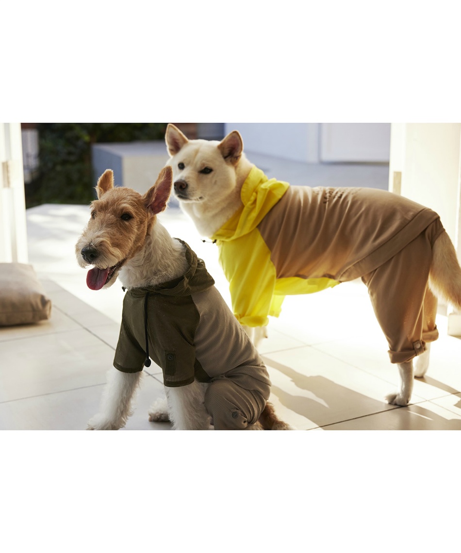 XXLサイズ　インセクトシールドメッシュスーツ　マンダリンブラザーズ INSECT SHIELD MESH SUIT | WEAR | 犬服 MANDARINE BROTHERS