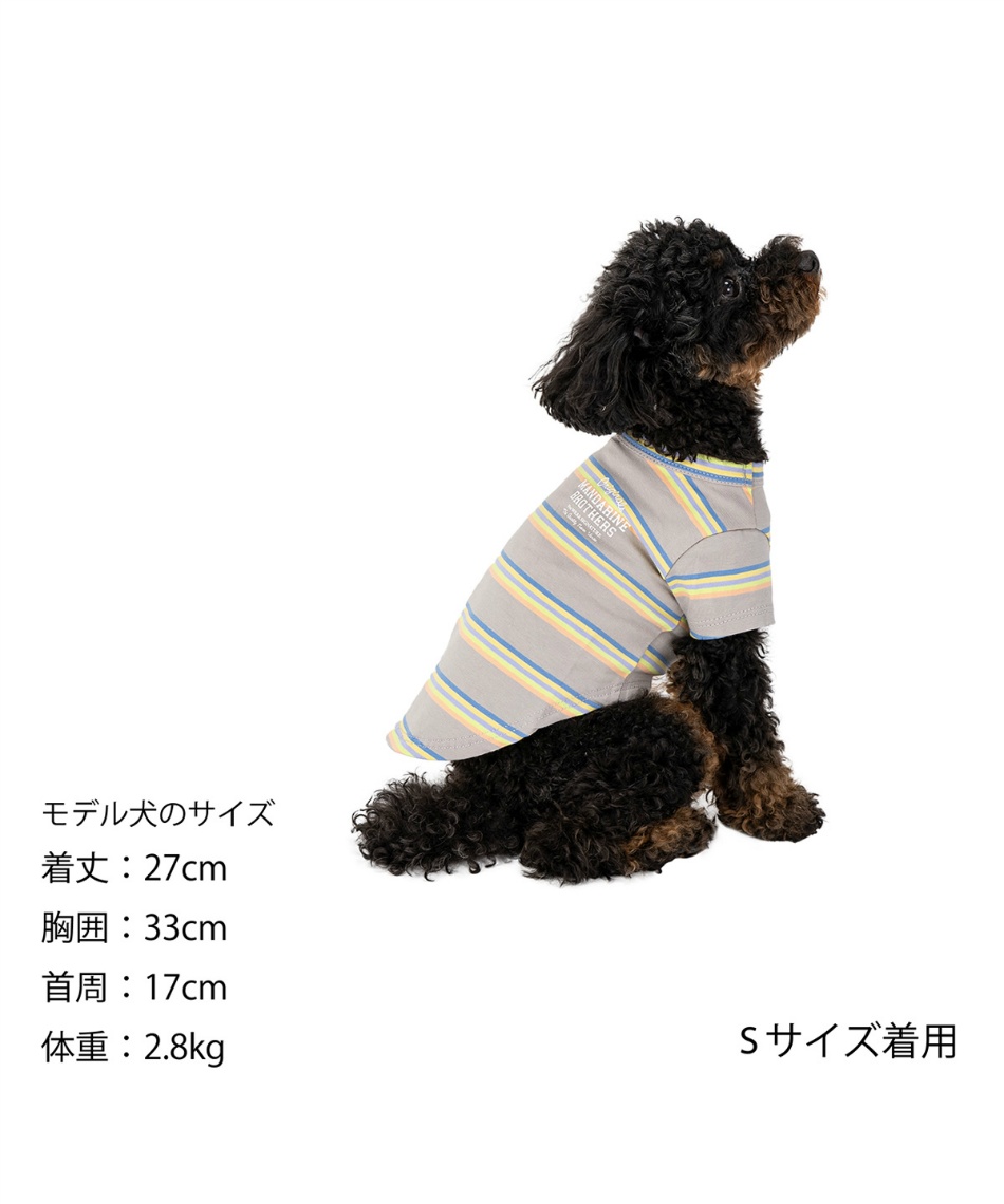 MULTI BORDER T-SHIRT マルチボーダーTシャツ 1405S【返品不可