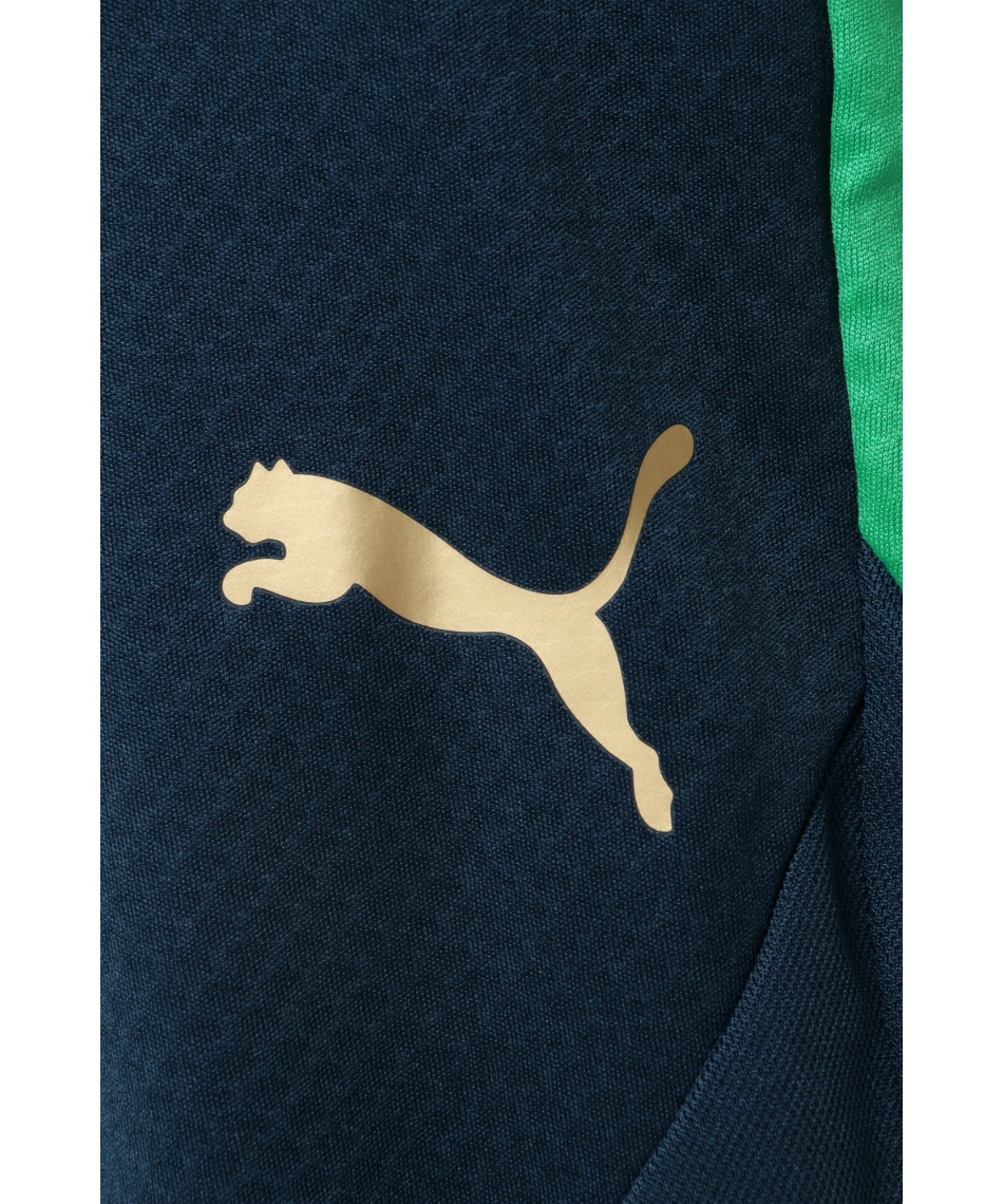 プーマ(PUMA) ロングパンツ Q3 NJR BNA トレーニングパンツ 659706-10