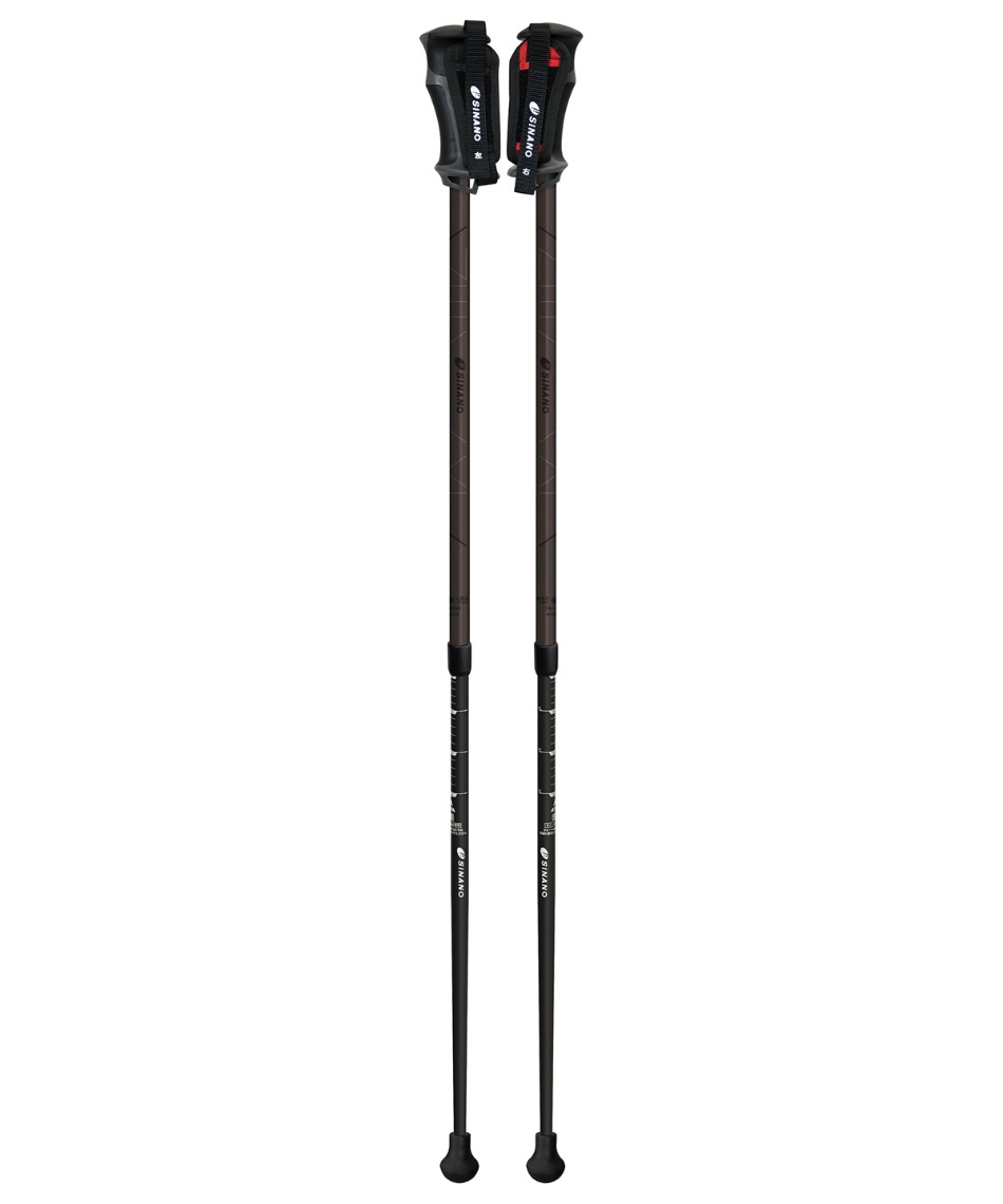 シナノ SINANO ノルディックポール レビータ ネクスト 652132 シナノ(SINANO) ノルディックポール レビータ ネクスト 652132 【国内