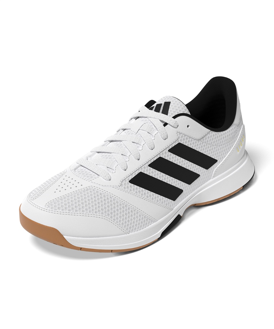 バレーシューズLigra 8 インドア IndoorJI1505 NLK78 | スポーツ