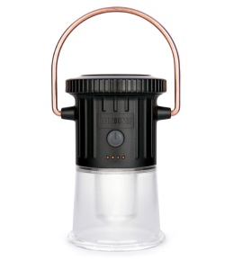 �l���|�C���g54pt �x�A�{�[���Y���r���O(Barebones Living) �����^�� �o�b�e���[�����^�� �t�[�h�D�[�����^�� 20230041-BK BK