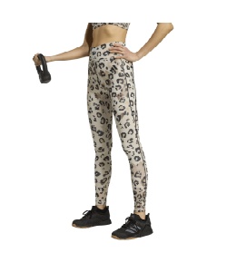l|Cg63pt yzAfB_X(adidas) O^Cc Optime GbZVY tOX MX vg KKP88 JY4606 fB[X GYBE S