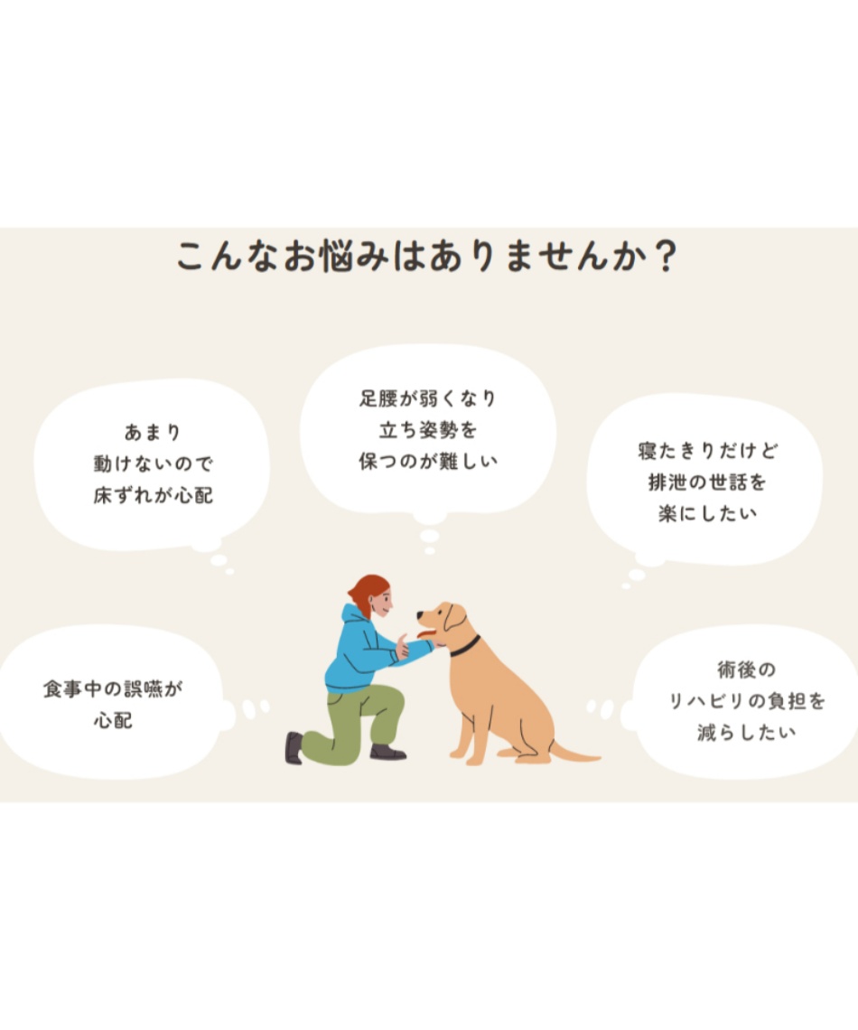 犬用 リラクッション M RK-M 【ご自宅配送限定】‥ | スポーツ用品なら