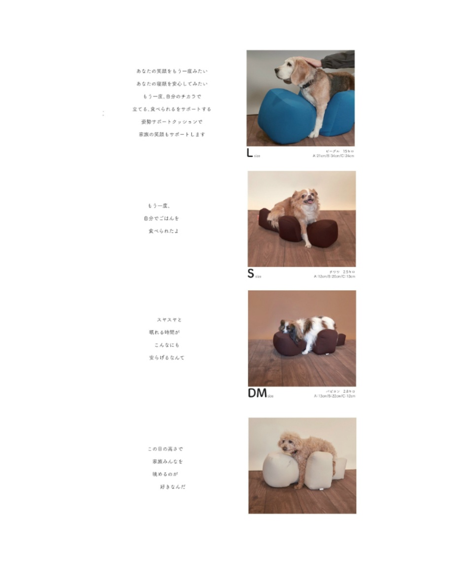 犬用 リラクッション M RK-M 【ご自宅配送限定】‥ | スポーツ用品なら
