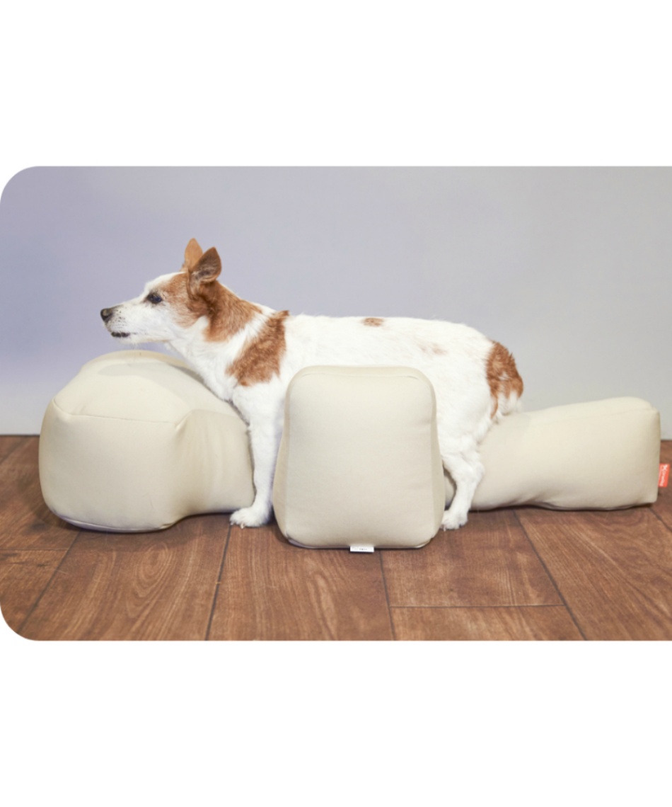 リラクッション M 犬用　ワンエイド ♭ ワンエイド(OneAid) 犬用 リラクッション M RK-M 【ご自宅配送限定