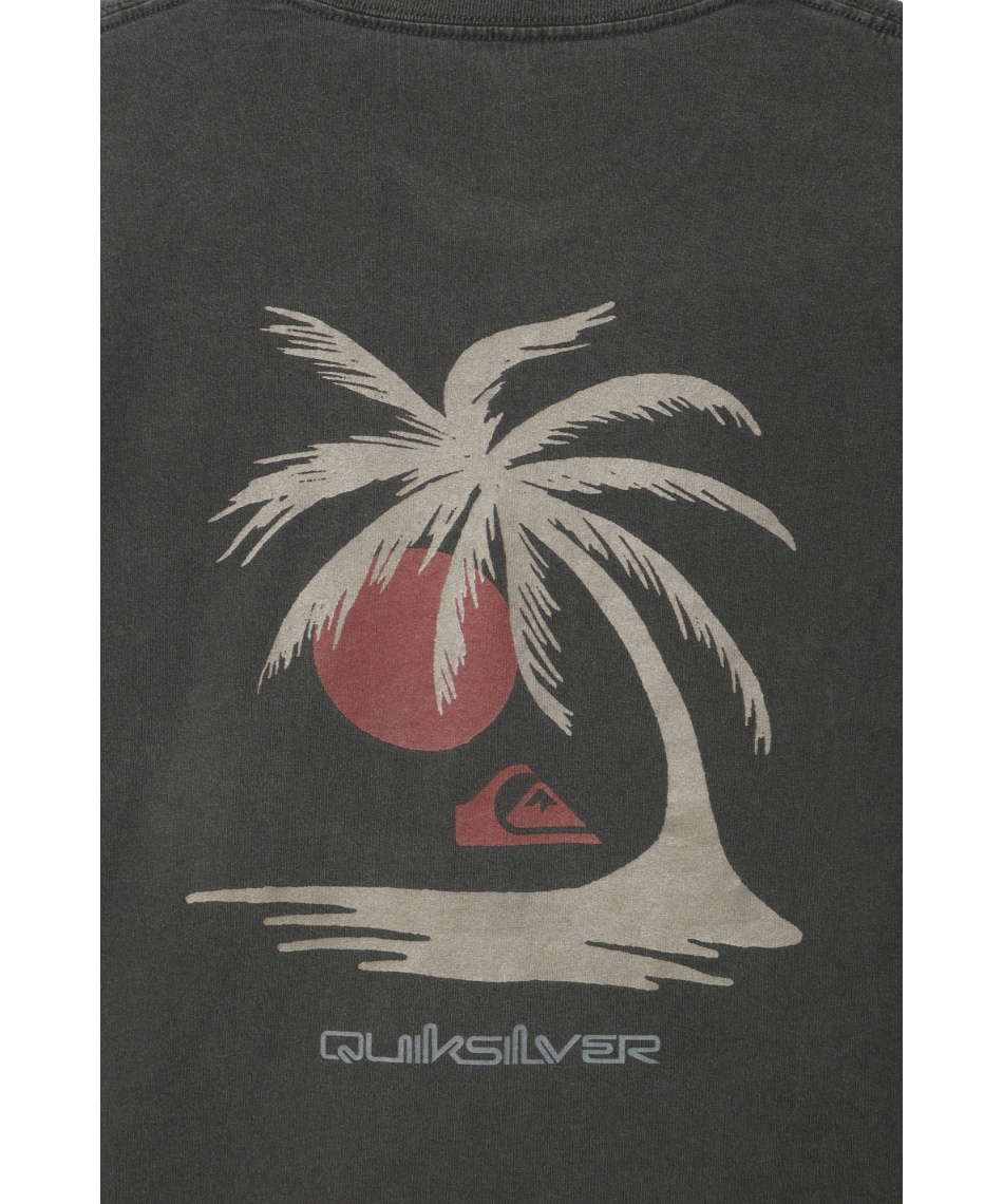 クイックシルバー(QUIKSILVER) Tシャツ 半袖 PG WILD CHIME ST