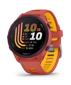 �l���|�C���g461pt 9% OFF�^SALE �y���������z�K�[�~��(GARMIN) �����j���O �r���v GPS�t Forerunner 170 Music �����j���O�E�H�b�` 010-03920-45 Red Pink