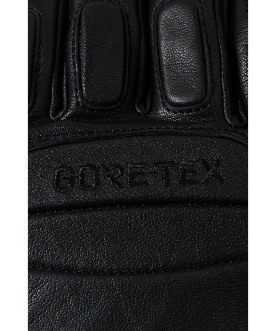 エスエルキュー(SLQ) スキーグローブ ゴアテックス レザー GORE TEX SKI GLOVE 3SL130201-01