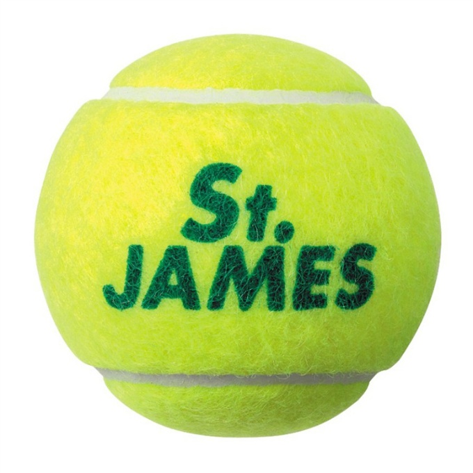硬式ボール セントジェームス St.JAMES 4球 STJAMESJ4TIN