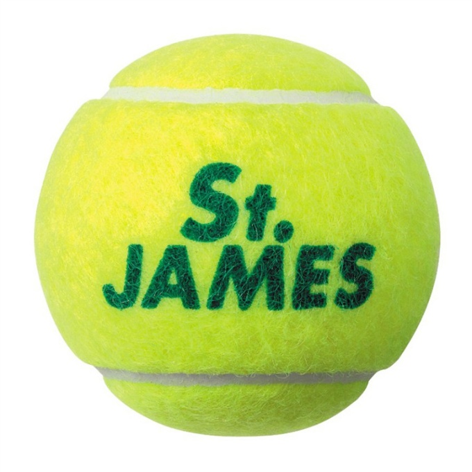 ダンロップ(DUNLOP) 硬式ボール セントジェームス St.JAMES 4球 STJAMESJ4TIN