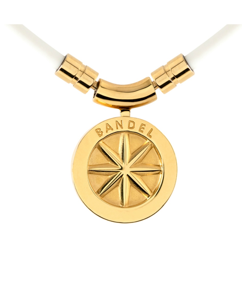 磁気ネックレス Earth mini アース ミニ HLCFNE 【ご自宅配送限定