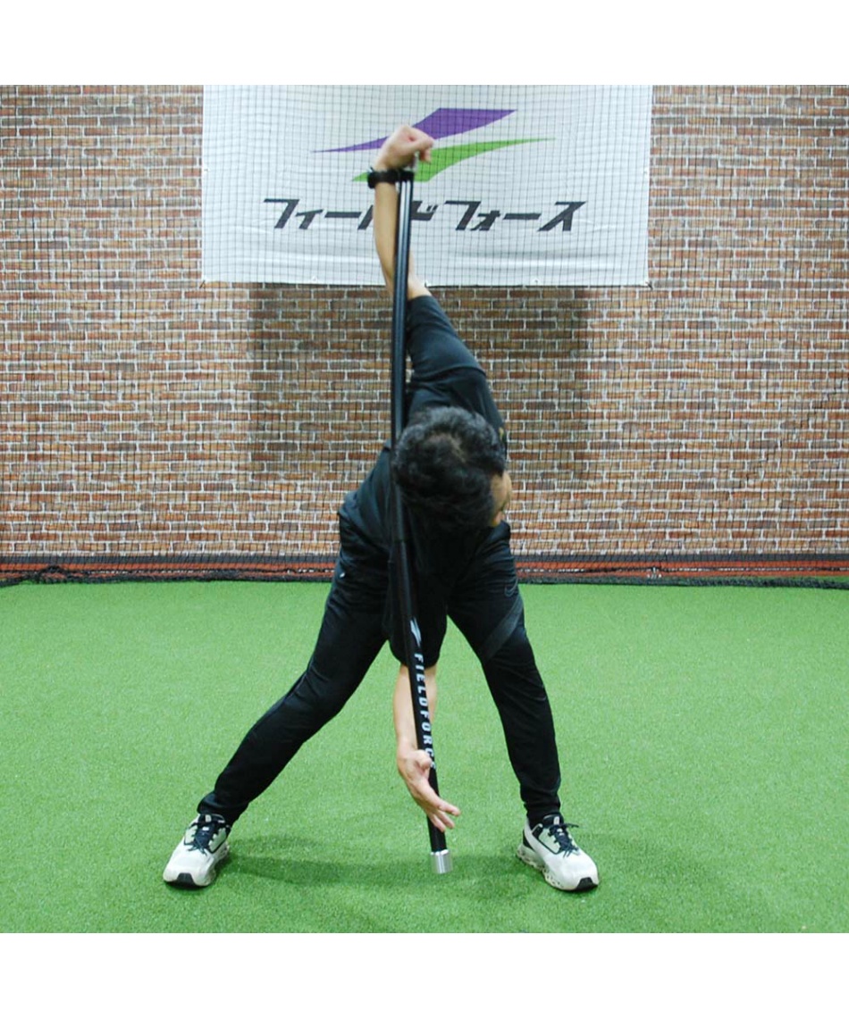 stick mobility3本セット正規品（スティックモビリティ） スティック