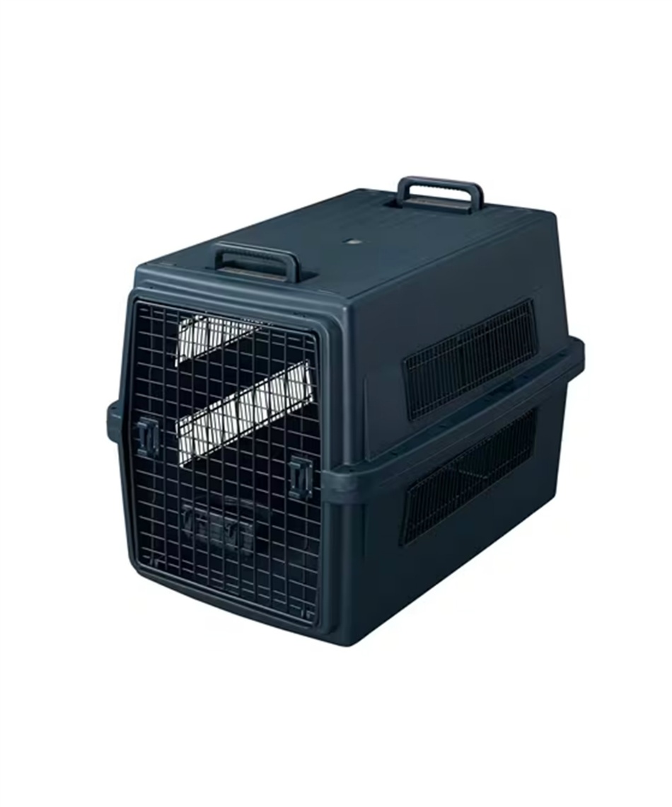 メーカー直送】 アイリスオーヤマ(IRIS OHYAMA) キャリーケース エア