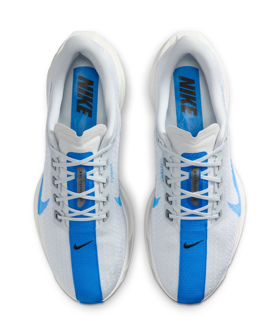 NIKE ペガサスプラス　25cm ランニングシューズ メンズ 25HO ペガサス プラス FQ7262-011