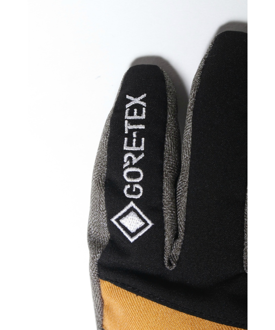 スキー スノーボード グローブ ゴアテックス GORE GLOVE