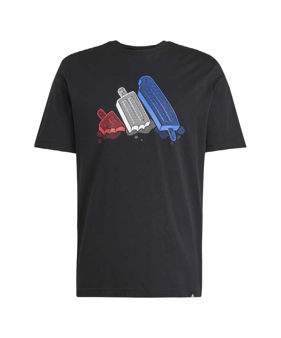 Tシャツ 半袖 ラウンジ アイスグラフィック 半袖Tシャツ KPJ93-JI6742