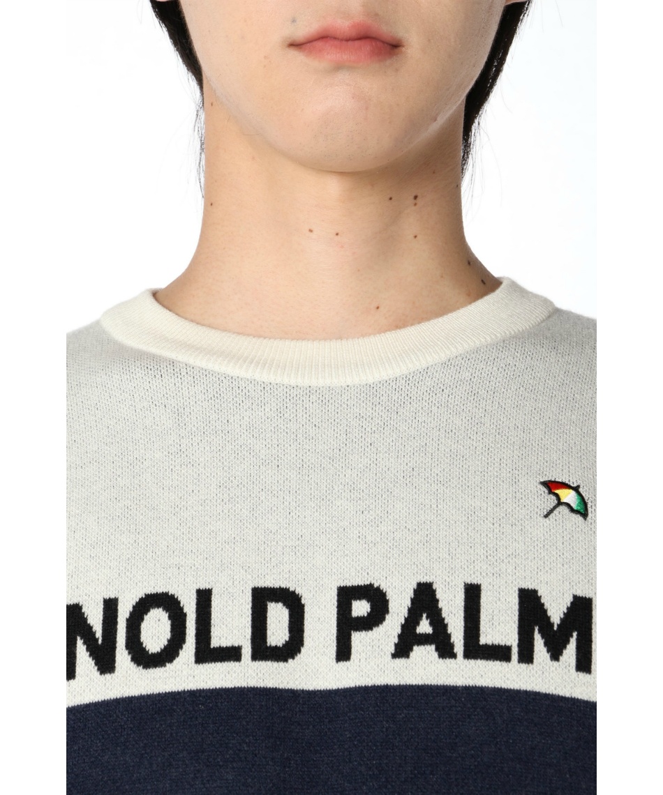 ゴルフウェア セーター バイカラークルーネックセーター AP220204E01