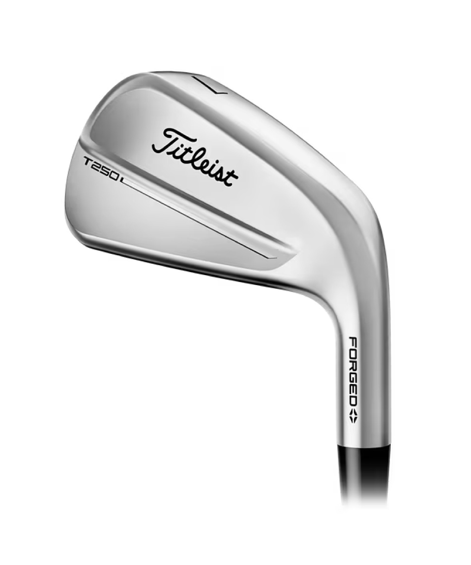 タイトリスト(Titleist) ゴルフクラブ アイアンセット 6本組 N.S.PRO