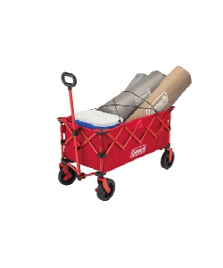 �l���|�C���g143pt �y���������z�R�[���}��(Coleman) �A�E�g�h�A���S�� �A�E�g�h�A���S��NX ���b�h 2230842 ���b�h