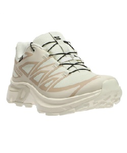 �l���|�C���g150pt �y���������z�T������(SALOMON) �X�j�[�J�[ �S�A�e�b�N�X XT-EVR GORE-TEX L47803500 �y�������K�i�z ���f�B�[�X VNILA�^AMND 24�D5