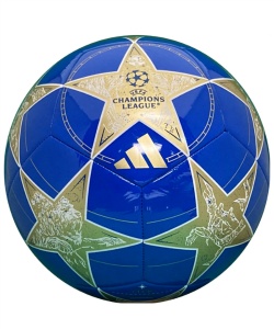 スポーツ・レジャー:サッカー・フットサル:ボール:サッカーボール5号