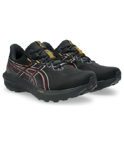 �l���|�C���g133pt 11% OFF�^SALE �y���������z�A�V�b�N�X(asics) �g���C�������j���O�V���[�Y 26FW GT-1000 15GTX 1011C233-001 �����Y BK�^GRPHTGY 26�D5