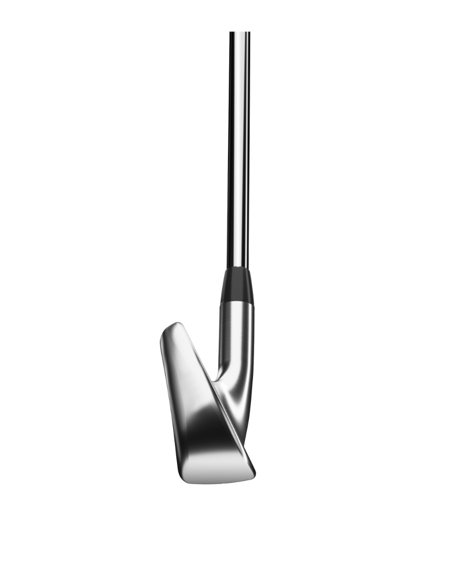 タイトリスト(Titleist) ゴルフクラブ アイアンセット 6本組 N.S.PRO