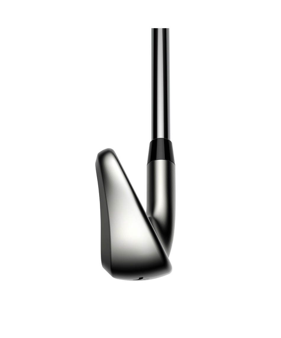 ゴルフクラブ アイアンセット 5本組DS-ADAPT Irons N.S.PRO 950 GH neo