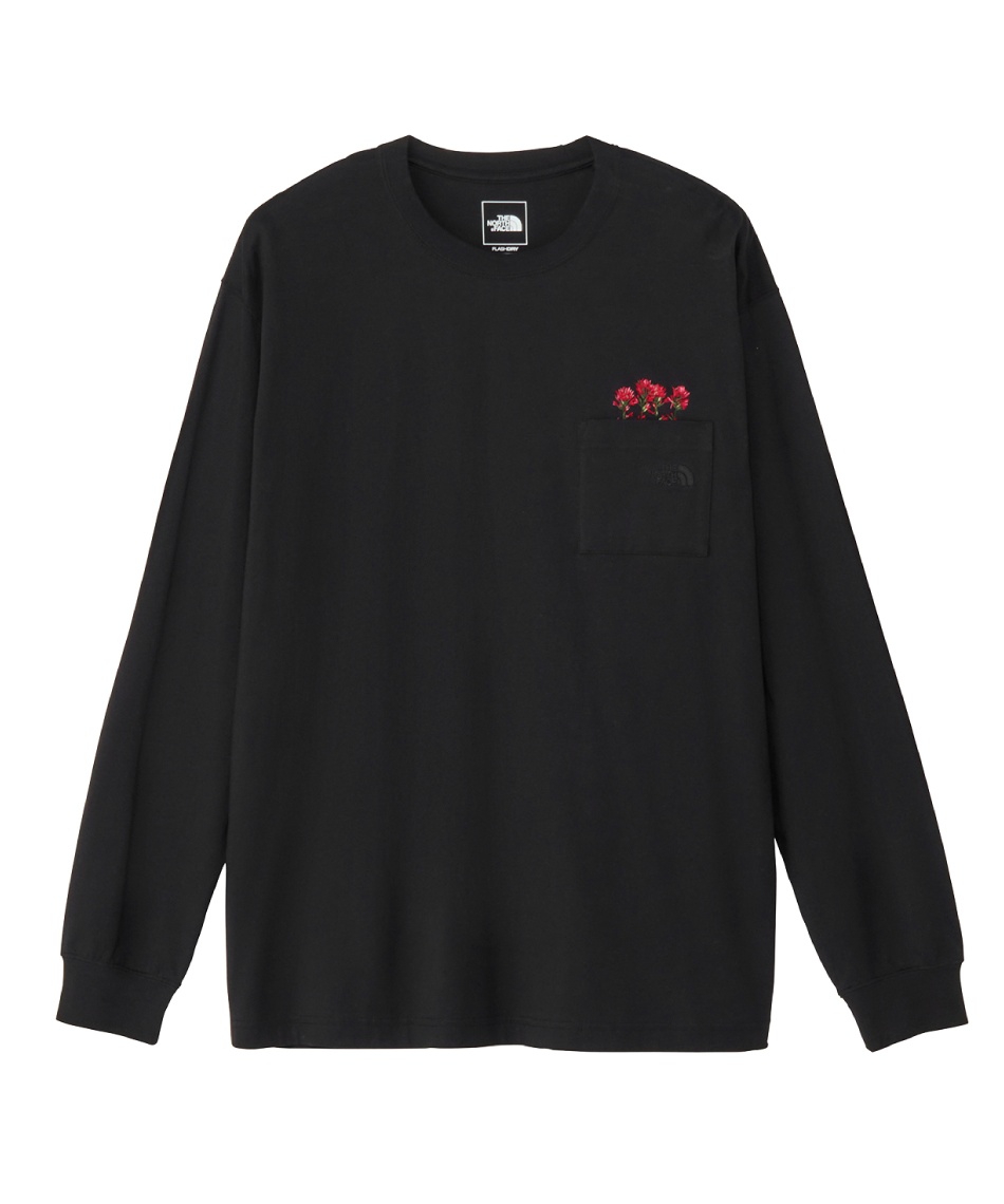 ザ・ノース・フェイス(THE NORTH FACE) Tシャツ 長袖 L/S FD