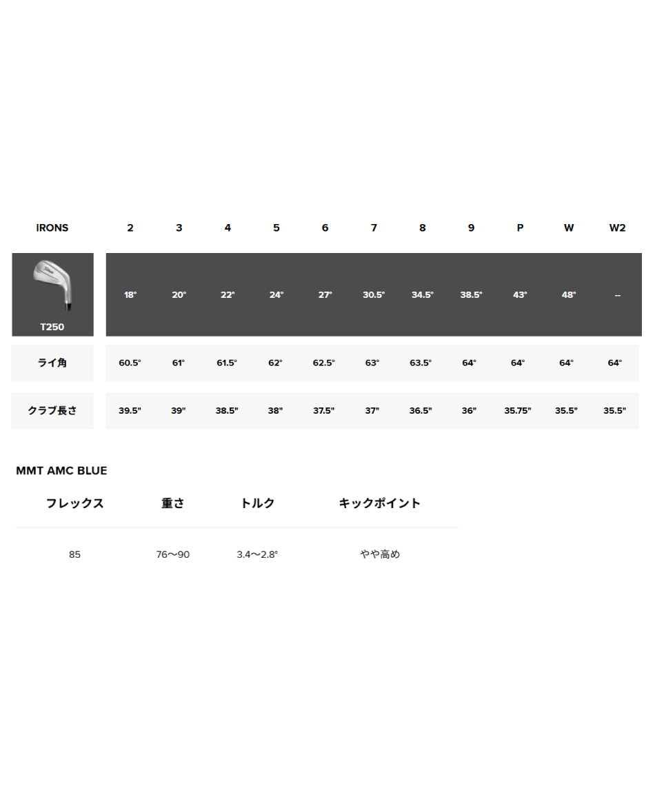 タイトリスト(Titleist) ゴルフクラブ アイアンセット 6本組 MMT AMC