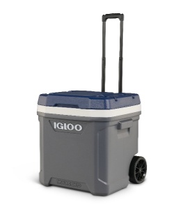 �l���|�C���g180pt �y���������z�C�O���[(Igloo) �N�[���[�{�b�N�X Maxcold 62 Roller 34962 �J�[�{��A 59L