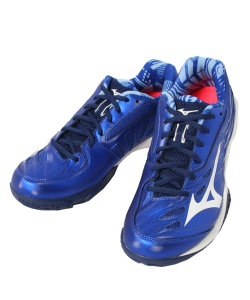 ウェーブクロー2 SPECIAL EDITION バドミントンシューズ 24cm ウェーブ