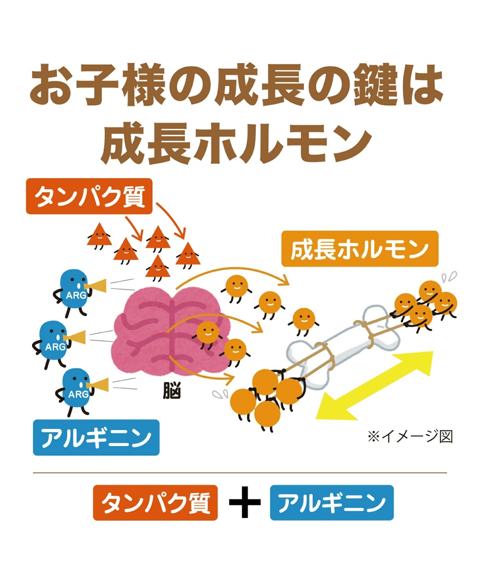 プロテイン バナナ味 600g FD-0002-001-F | スポーツ用品なら