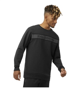 サロモン(salomon) スウェット トレーナー ESSENTIAL LC2028900 【国内