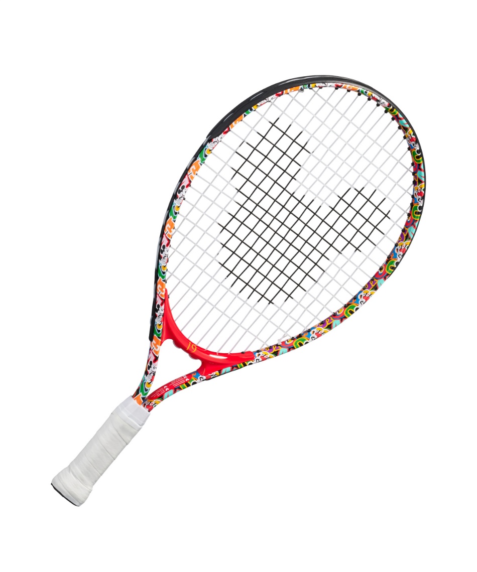 プリンス(PRINCE) 硬式テニスラケット 張り上げ済み Disney 19