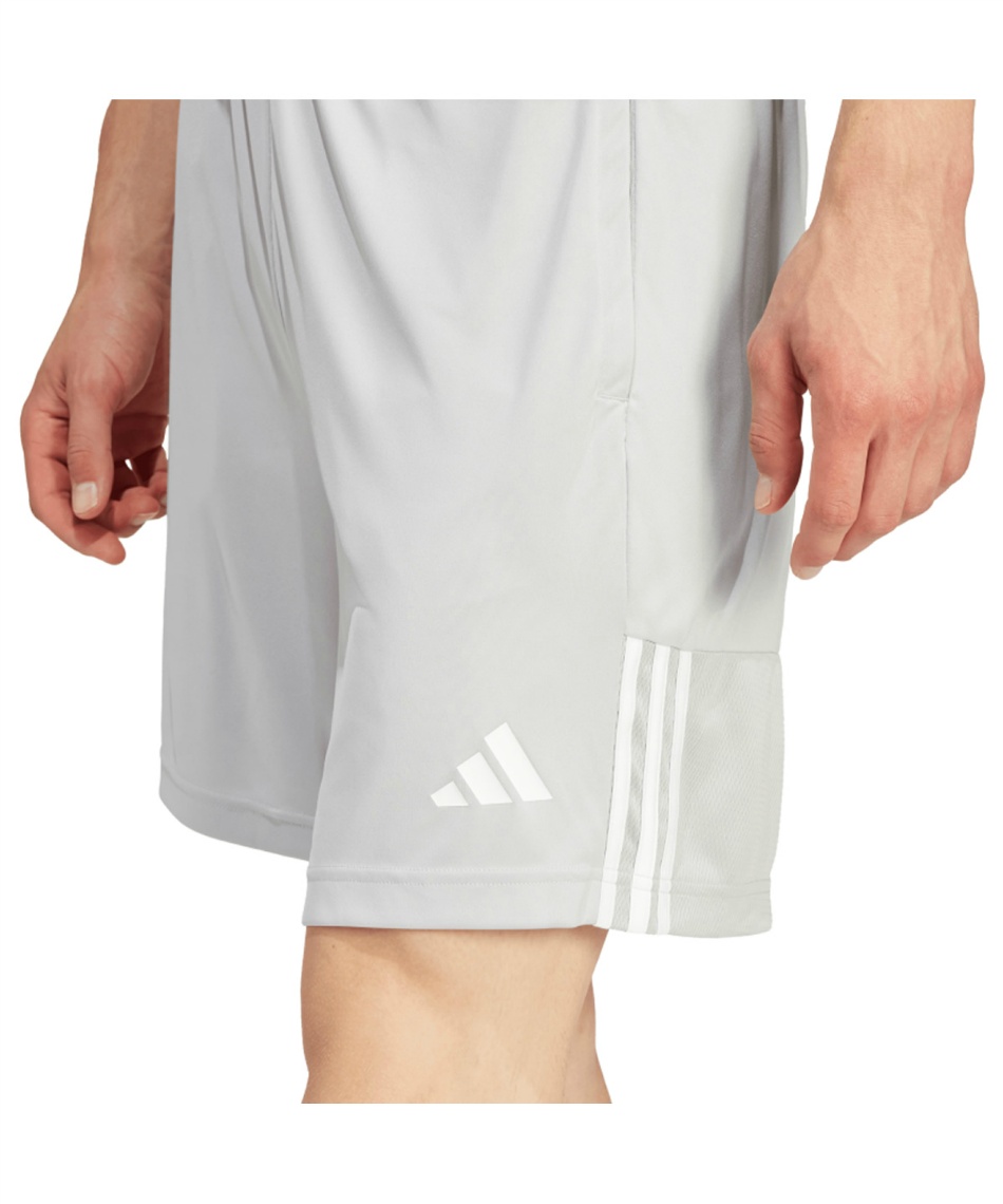 DARE SPORT ホワイト水着 ストライプ 4580777414515_1.jpg