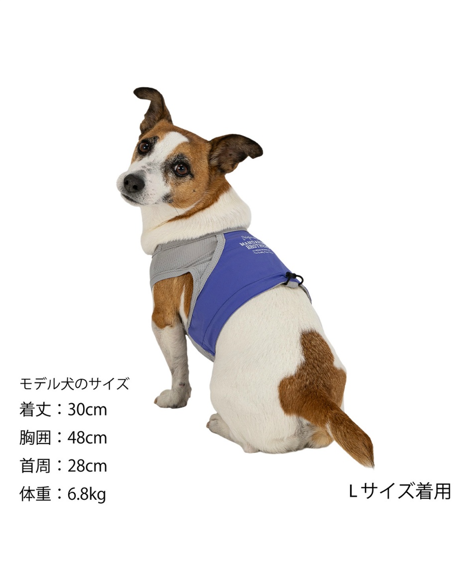 SUPER COOLING VEST　スーパークーリングベスト　サイズM 新商品情報】SUPER COOLING VEST 2025年モデル5/1発売