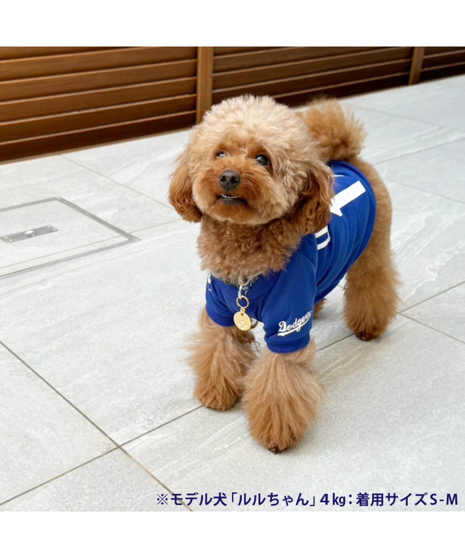 犬 服 ドジャース 大谷Tシャツ ブルーS SHO-4014B-SM | スポーツ用品