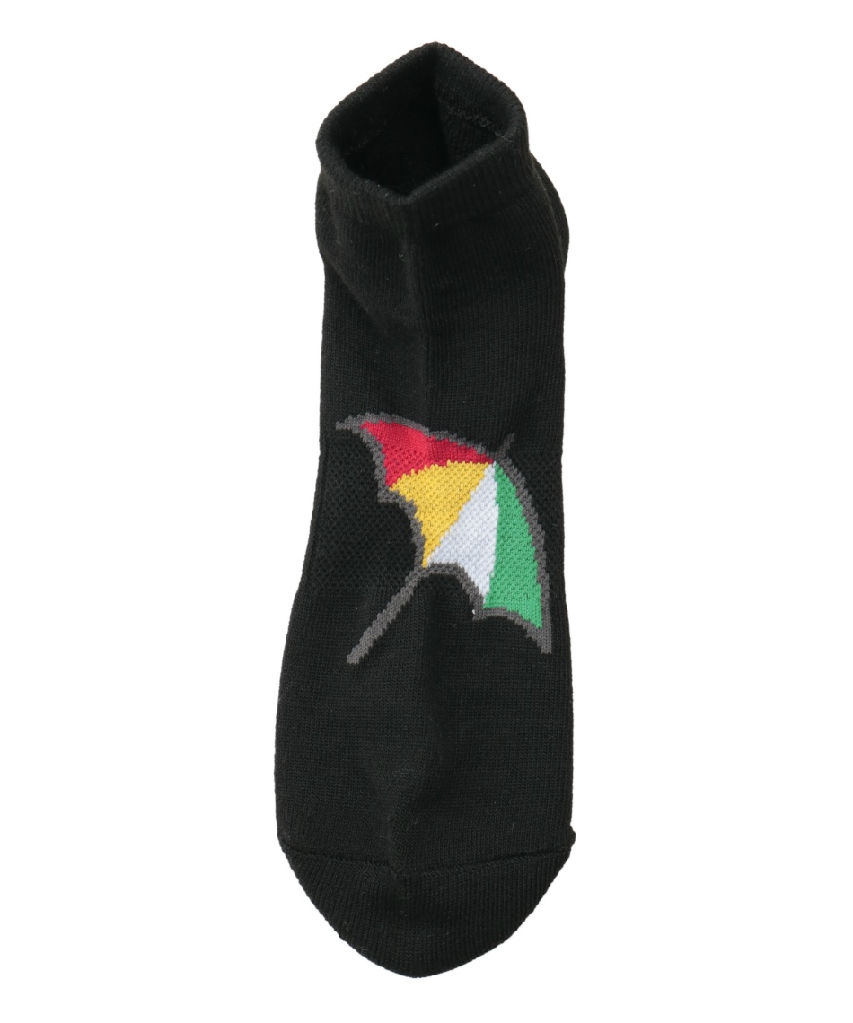 アーノルドパーマー(arnold palmer) ゴルフ ソックス 2Pフロント