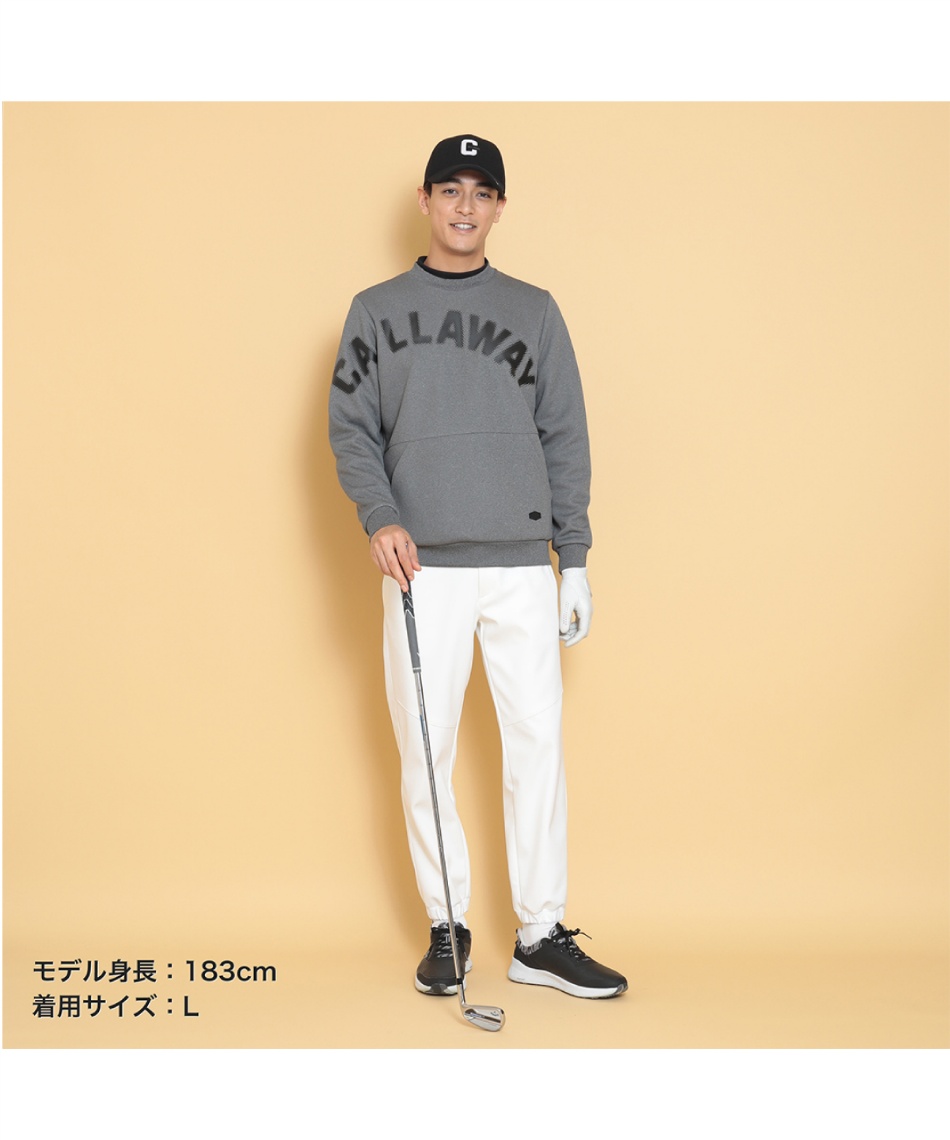 新品 23区ゴルフ 裏毛 スウェット プルオーバー 23Fondation M 23区GOLF 【PREMIUM OUTLET 50%超OFF】【春のゴルフ応援企画】23区GOLF