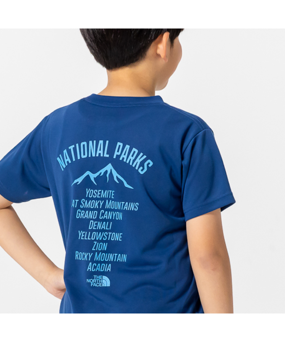 Tシャツ 半袖 SS TNF Bug Free Graphic Tee NTJ32554-OB 【国内