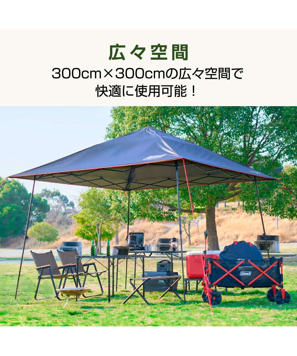 ワンタッチタープインスタントバイザーシェード3/L DR2223761